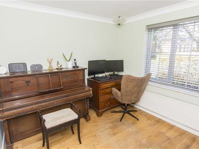 Picture 6